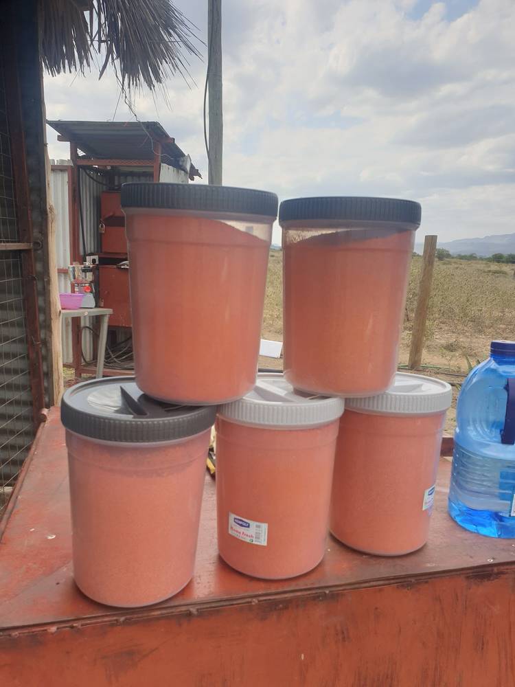 Preparing seed trays